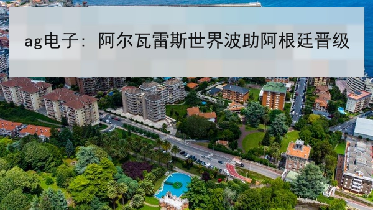 ag电子: 阿尔瓦雷斯世界波助阿根廷晋级