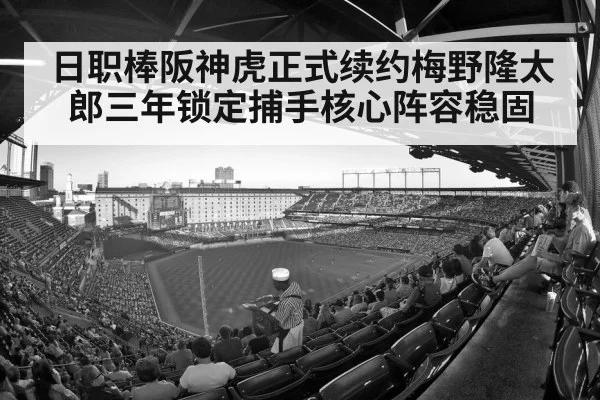 日职棒阪神虎正式续约梅野隆太郎三年锁定捕手核心阵容稳固