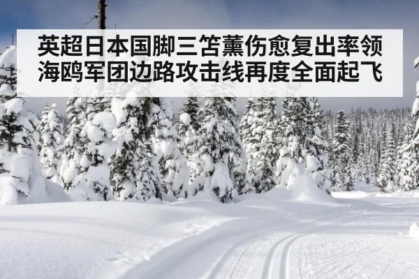 英超日本国脚三笘薰伤愈复出率领海鸥军团边路攻击线再度全面起飞